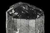 Terminated Black Tourmaline (Schorl) Crystal - Madagascar #174150-1